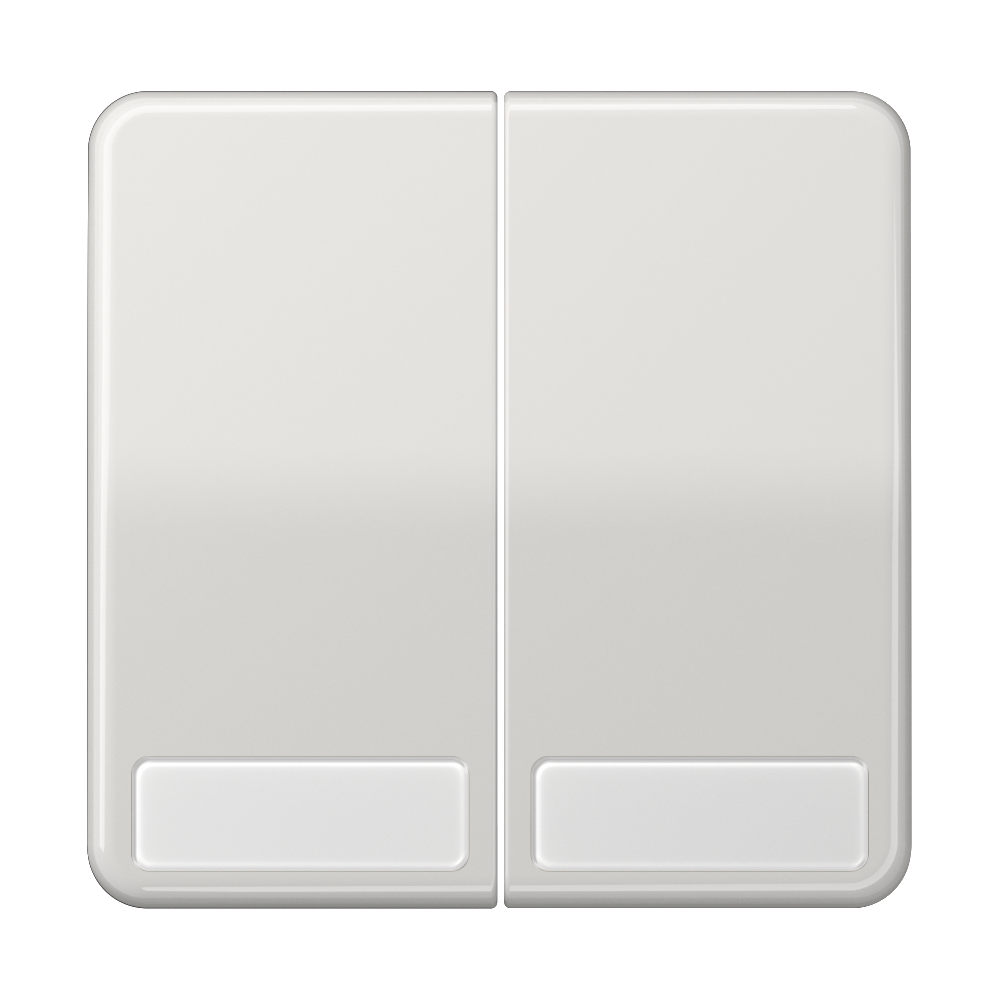 JUNG Wippe Serien Schalter lgr glz BSF CD 595 NA LG