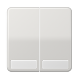JUNG Wippe Serien Schalter lgr glz BSF CD 595 NA LG