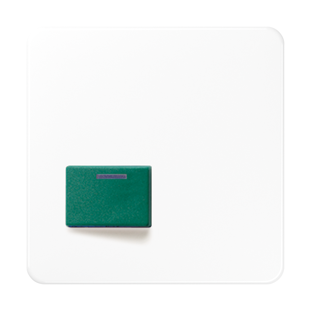 JUNG Klinik Abdeckung aws ZP glz CD 642 C WW