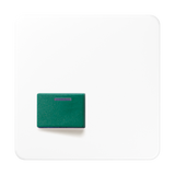 JUNG Klinik Abdeckung aws ZP glz CD 642 C WW