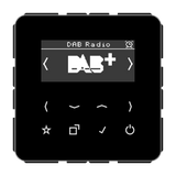 JUNG Radio RDS sw digi 1Weck 16speich CD DAB SW m.NT UKW-Empfänger