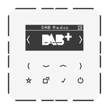 JUNG Radio RDS ws digi 1Weck 16speich CD DAB WW m.NT UKW-Empfänger
