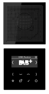JUNG Radio RDS sw digi 1Weck 16speich LS DAB 1 SW m.NT UKW-Empfänger