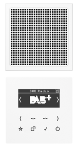 JUNG Radio RDS ws digi 1Weck 16speich LS DAB 1 WW m.NT UKW-Empfänger