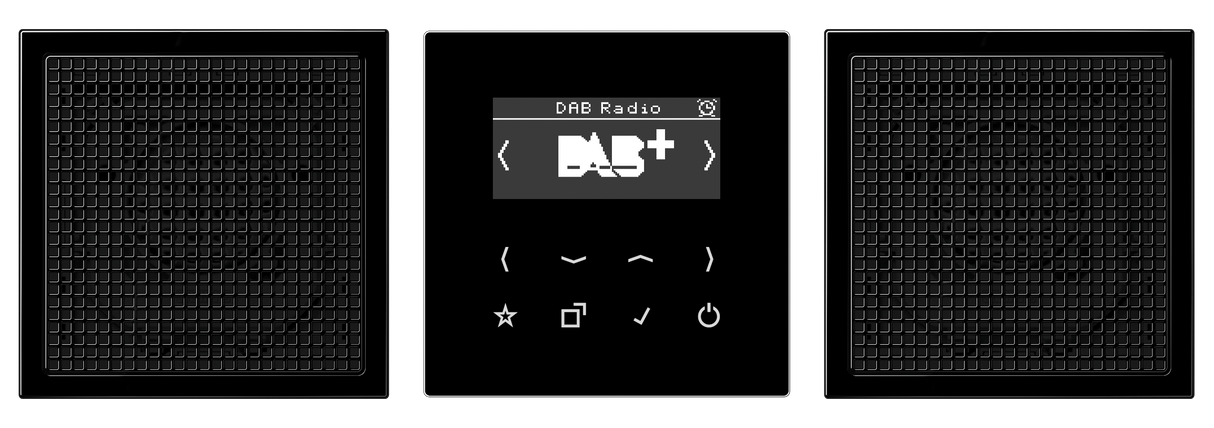 JUNG Radio RDS sw digi 1Weck 16speich LS DAB 2 SW m.NT UKW-Empfänger