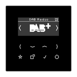 JUNG Radio RDS sw digi 1Weck 16speich LS DAB SW m.NT UKW-Empfänger