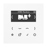 JUNG Radio RDS ws digi 1Weck 16speich LS DAB WW m.NT UKW-Empfänger