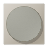 JUNG Abdeckung Blende edst mt ES WC MAG