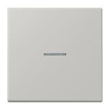 JUNG Bedienelement 1f gri_cla_31 m.Abd LS FM LC 1700 205 f.Dimmeins mt LED