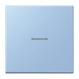 JUNG Bedienelement 1f out_moy m.Abd mt LS FM LC 1700 207 f.Dimmeins LED