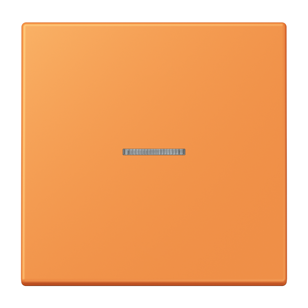 JUNG Bedienelement 1f or_cla m.Abd mt LS FM LC 1700 225 f.Dimmeins LED