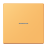 JUNG Bedienelement 1f ocr_jau_cla m.Abd LS FM LC 1700 254 f.Dimmeins mt LED
