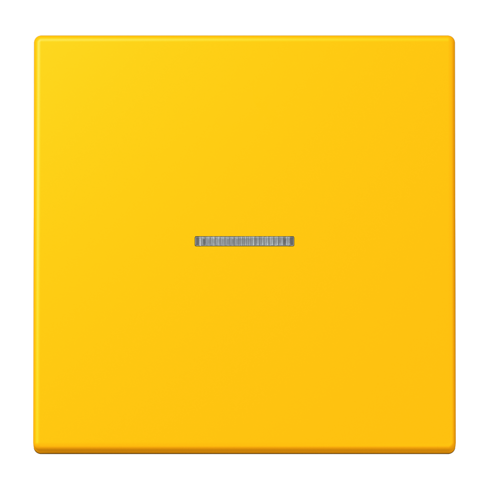 JUNG Bedienelement 1f le _jau_vif m.Abd LS FM LC 1700 263 f.Dimmeins mt LED