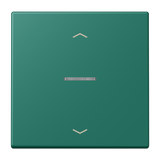 JUNG Bedienelement 1f ver_ang m.Abd mt LS FM LC 1700 P 216 f.Dimmeins LED