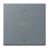 JUNG Bedienelement 1f gri_59 m.Abd mt LS FM LC 1700 P 251 f.Dimmeins LED