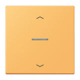 JUNG Bedienelement 1f ocr_jau_cla m.Abd LS FM LC 1700 P 254 f.Dimmeins mt LED