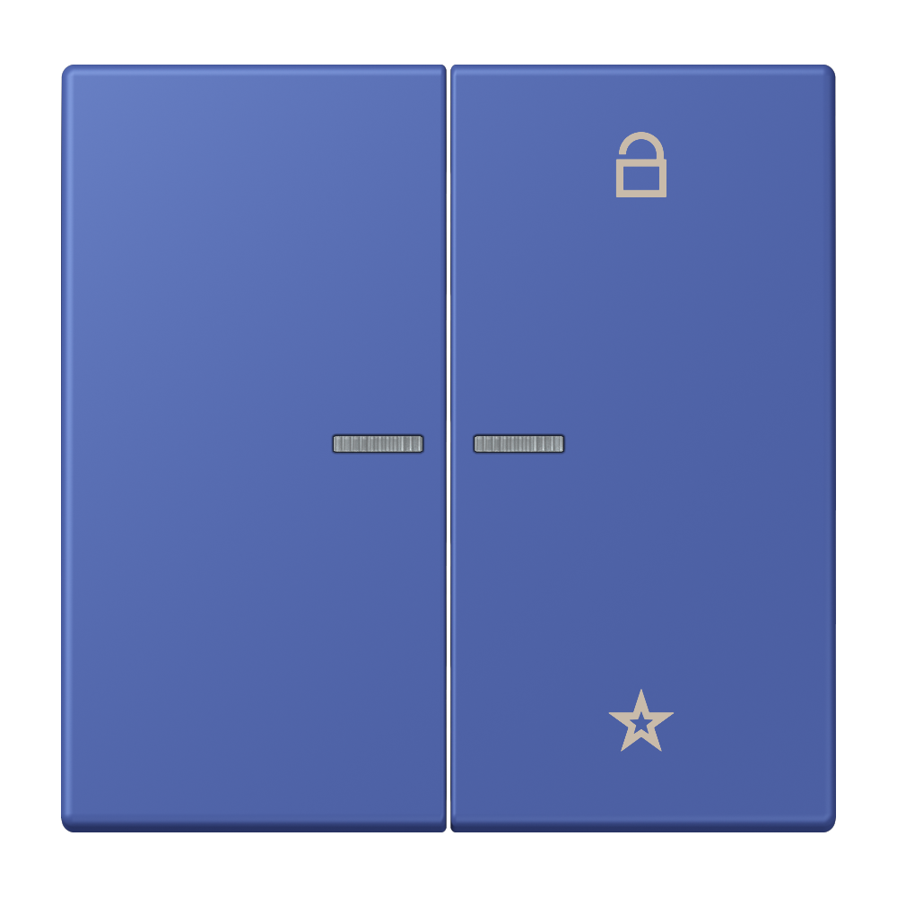 JUNG Bedienelement 2f ble_out_31 m.Abd FM LC 1701 206 f.Dimmeins f.Schalteins