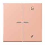 JUNG Bedienelement 2f ros_cla m.Abd glz FM LC 1701 231 f.Dimmeins f.Schalteins