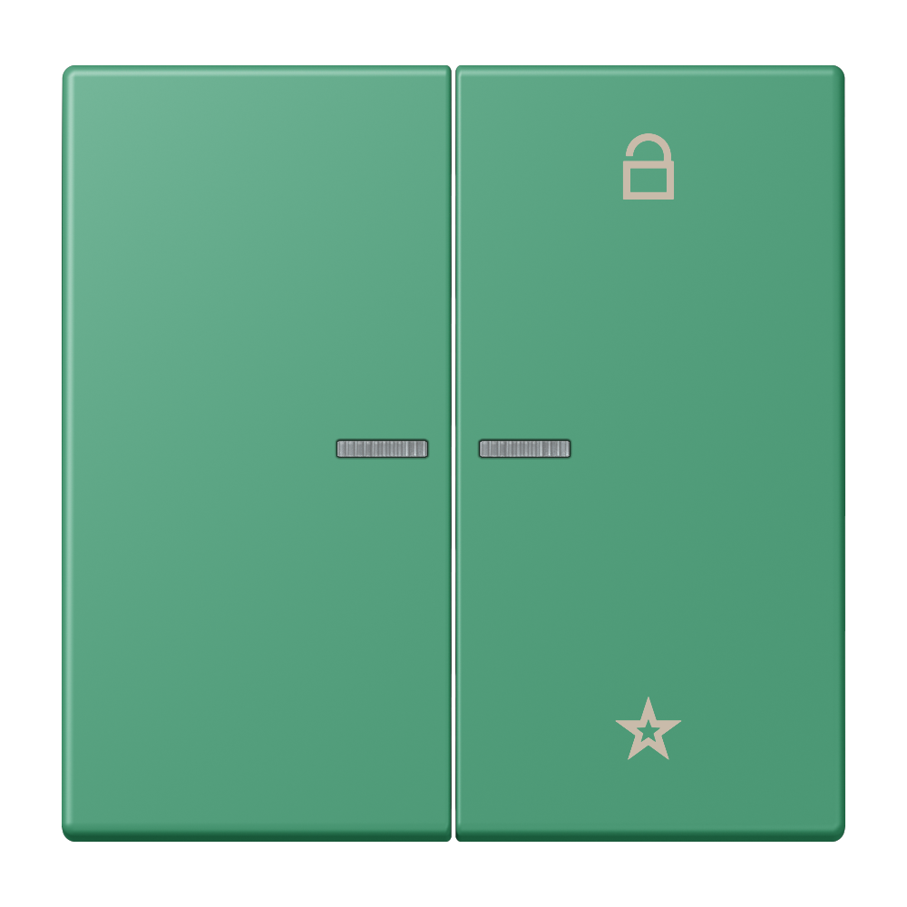JUNG Bedienelement 2f ver_59 m.Abd glz FM LC 1701 250 f.Dimmeins f.Schalteins