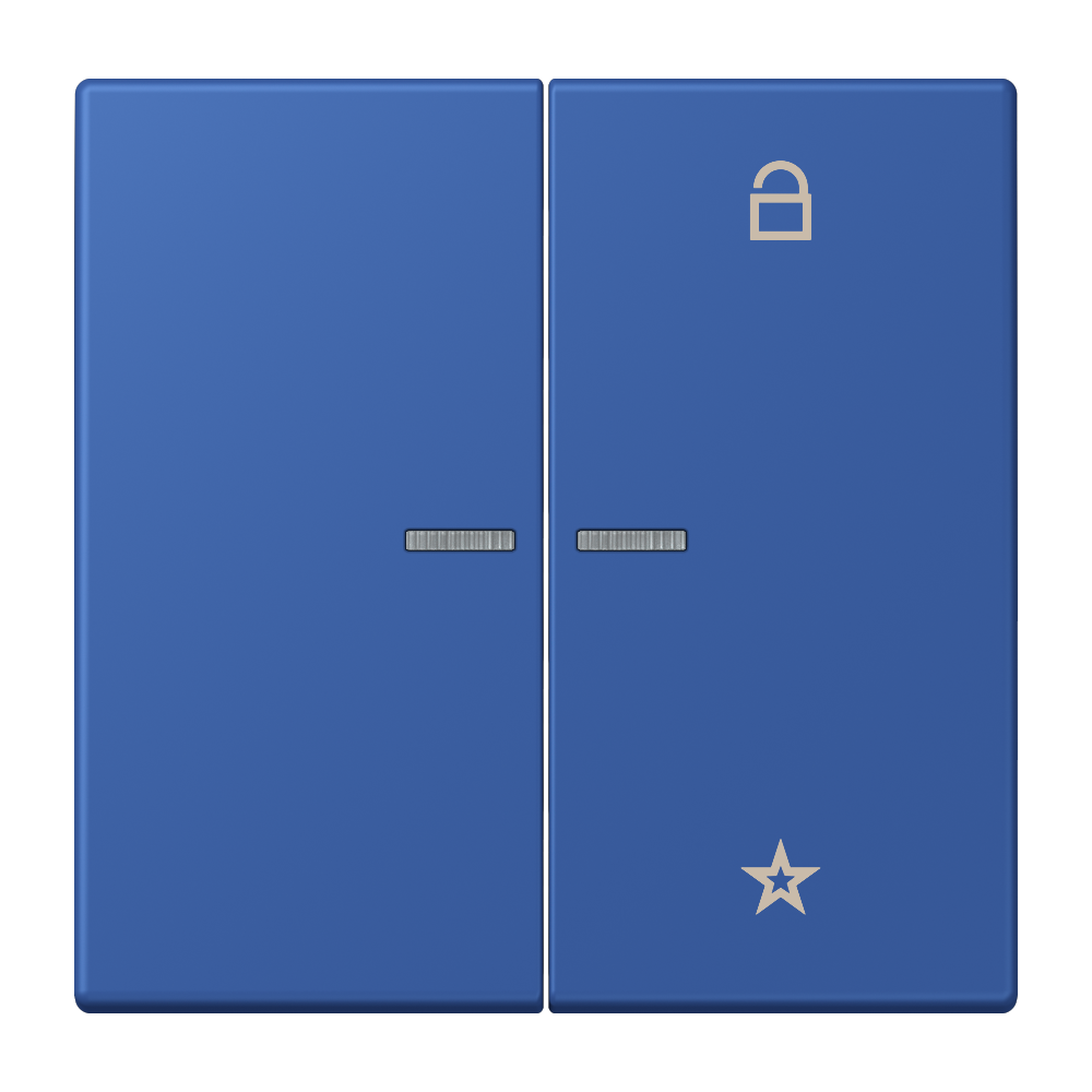 JUNG Bedienelement 2f ble_out_59 m.Abd FM LC 1701 253 f.Dimmeins f.Schalteins