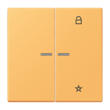 JUNG Bedienelement 2f ocr_jau_cla m.Abd FM LC 1701 254 f.Dimmeins f.Schalteins