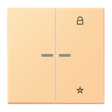 JUNG Bedienelement 2f ter_sie_59 m.Abd FM LC 1701 258 f.Dimmeins f.Schalteins