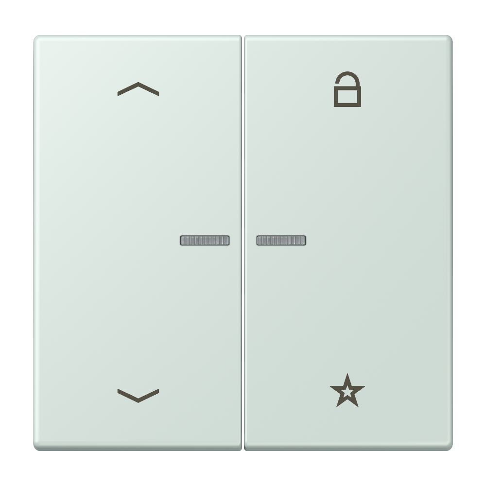 JUNG Bedienelement 2f cer_pal m.Abd mt LS FM LC 1701 P 215 f.Dimmeins LED