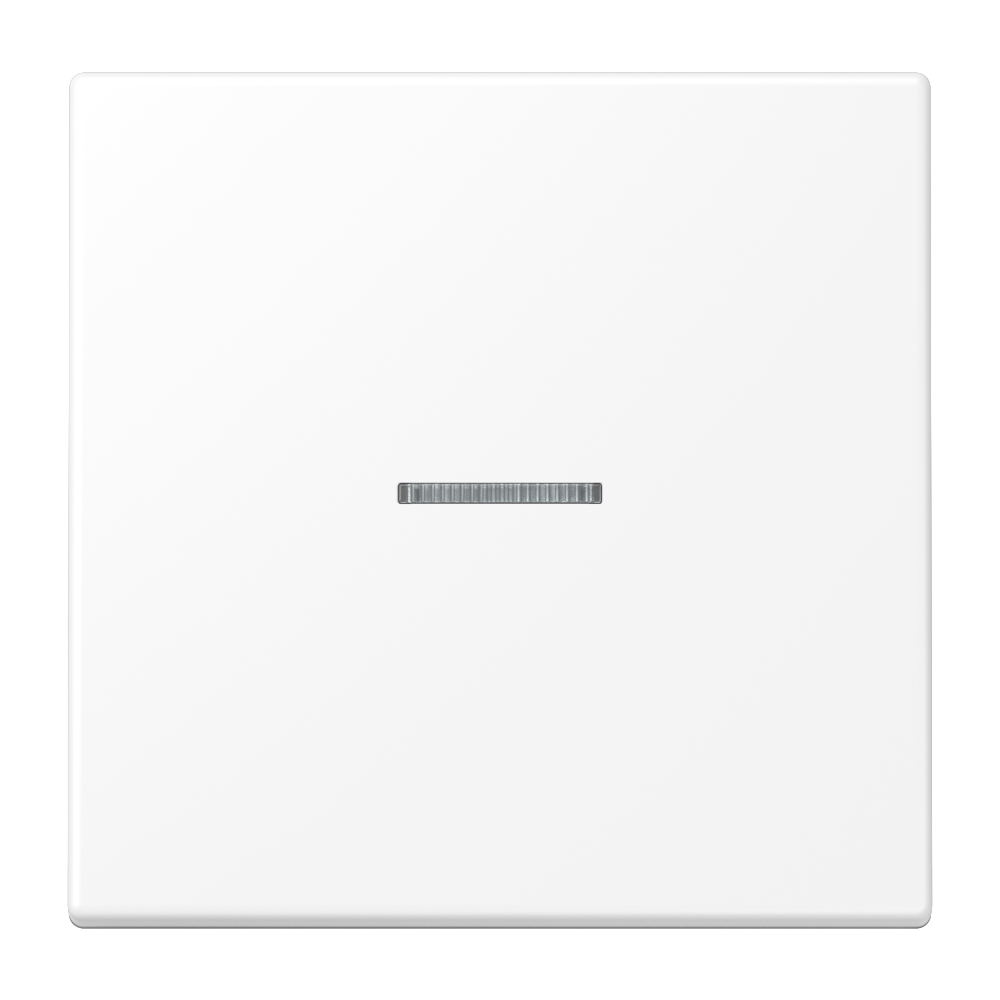 JUNG Bedienelement 1f schn-ws m.Abd glz LS FM 1700 WWM f.Dimmeins f.Schalteins