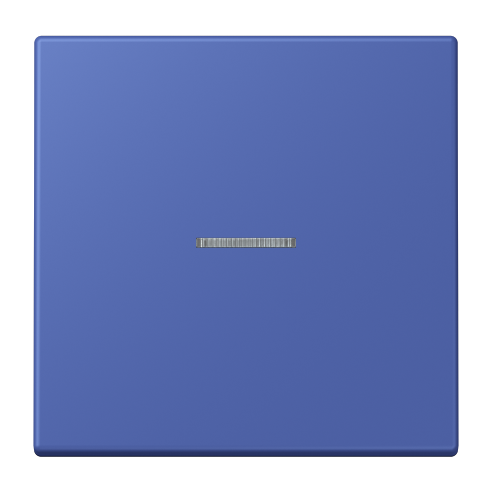 JUNG Kontrollwippe Schalter ble_out_31 LC 101 KO5 206 f.Bussystem
