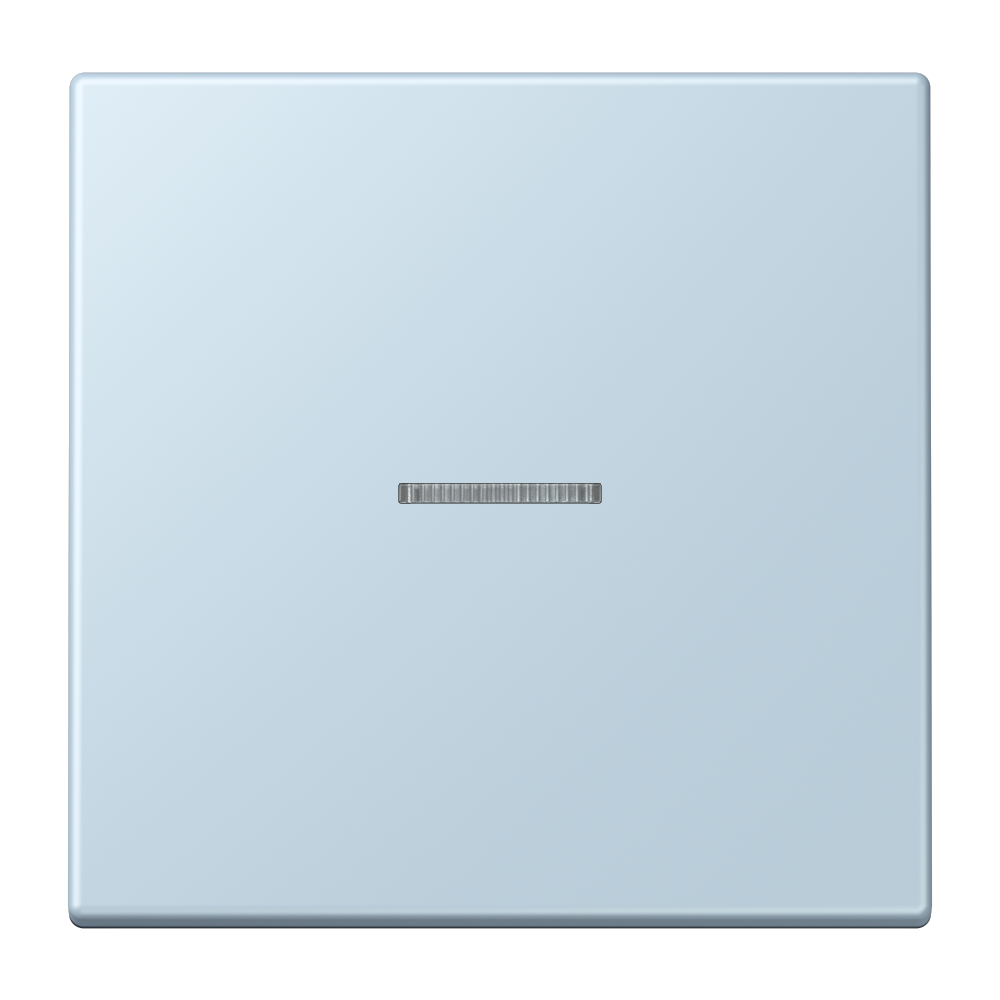 JUNG Kontrollwippe Schalter out_cla LC 101 KO5 208 f.Bussystem
