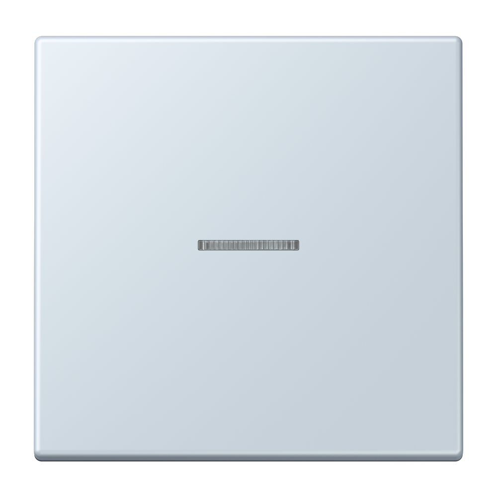 JUNG Kontrollwippe Schalter out_pal LC 101 KO5 209 f.Bussystem