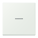 JUNG Kontrollwippe Schalter out_gri LC 101 KO5 210 f.Bussystem
