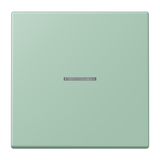 JUNG Kontrollwippe Schalter ver_ang_cla LC 101 KO5 217 f.Bussystem