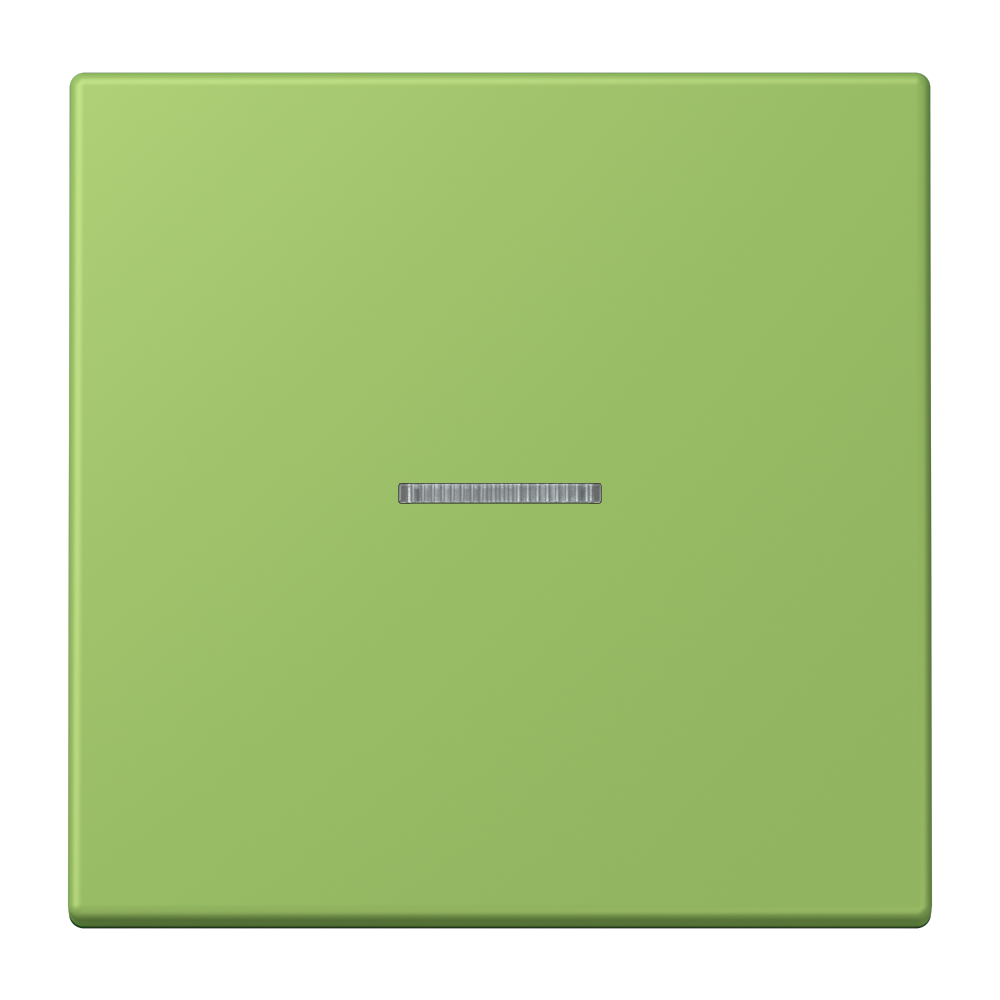 JUNG Kontrollwippe Schalter ver_31 LC 101 KO5 220 f.Bussystem