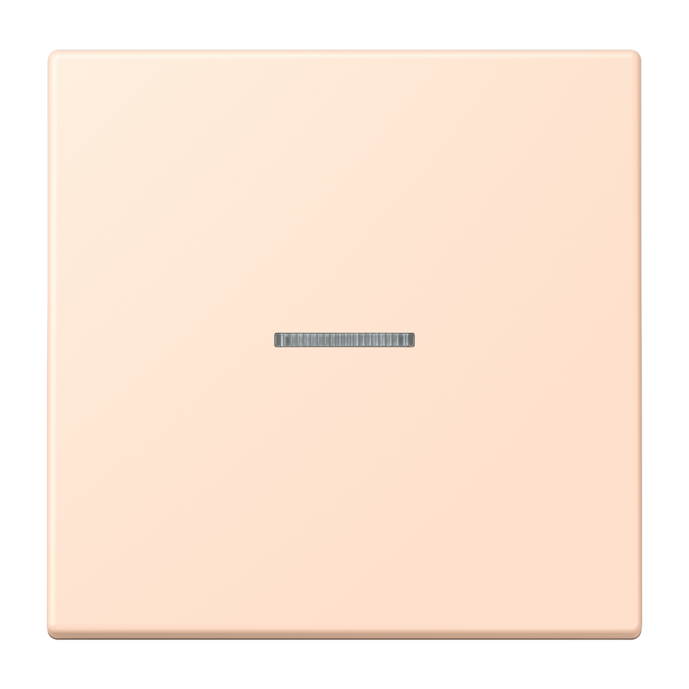 JUNG Kontrollwippe Schalter ros_pal LC 101 KO5 228 f.Bussystem
