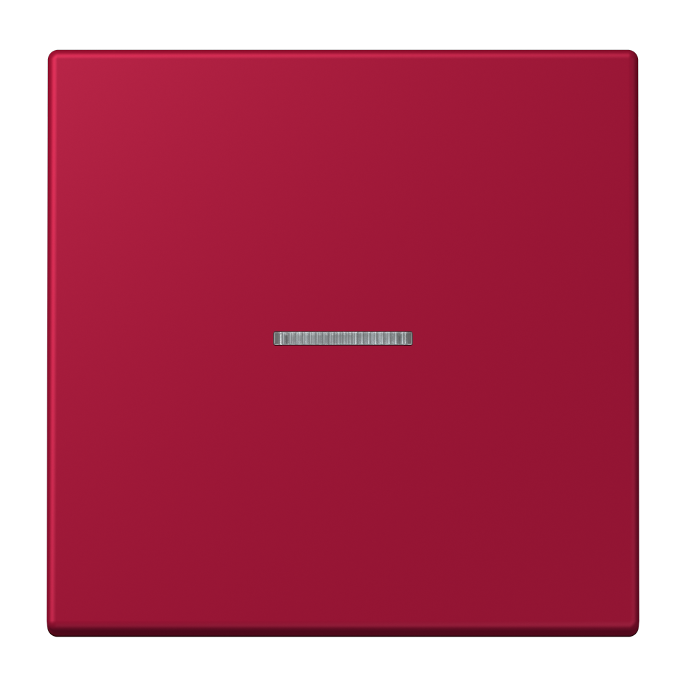 JUNG Kontrollwippe Schalter rou_car LC 101 KO5 229 f.Bussystem
