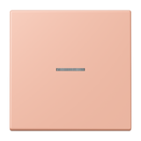 JUNG Kontrollwippe Schalter ros_cla LC 101 KO5 231 f.Bussystem