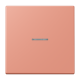 JUNG Kontrollwippe Schalter f.Bussystem LC 101 KO5 233 l'ocr_rou_moy