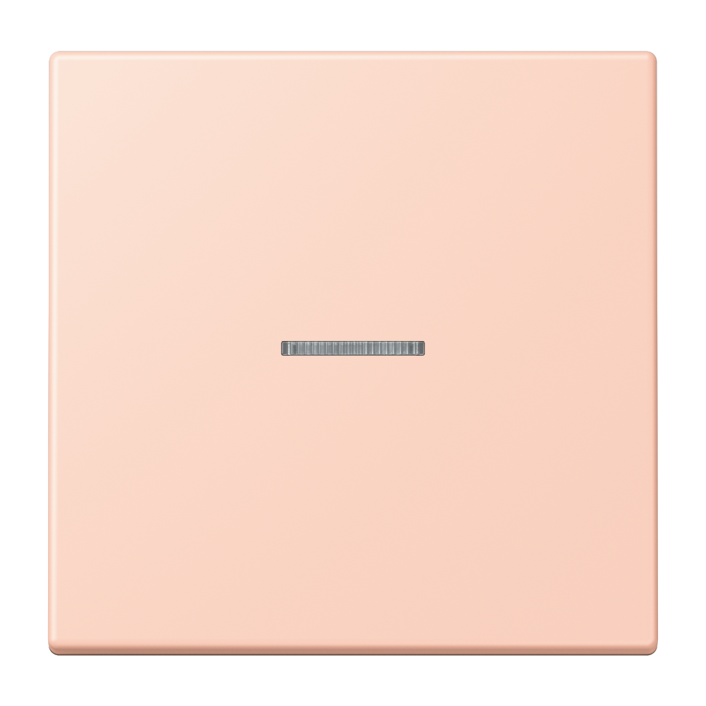 JUNG Kontrollwippe Schalter f.Bussystem LC 101 KO5 234 l'ocr_rou_cla