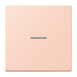 JUNG Kontrollwippe Schalter f.Bussystem LC 101 KO5 234 l'ocr_rou_cla