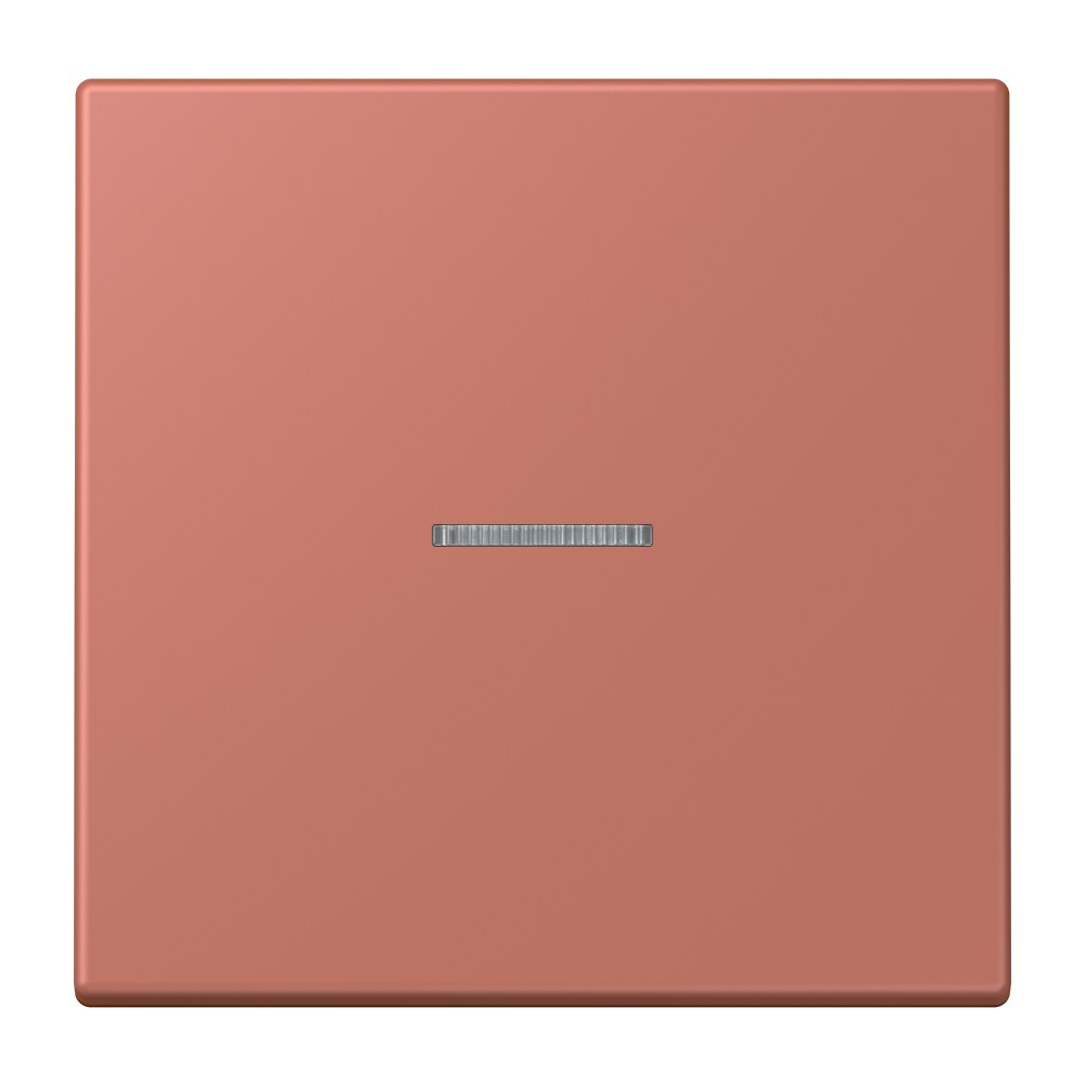 JUNG Kontrollwippe Schalter ter_sie_briq LC 101 KO5 236 f.Bussystem