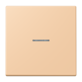 JUNG Kontrollwippe Schalter ter_sie_31 LC 101 KO5 237 f.Bussystem