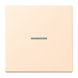 JUNG Kontrollwippe Schalter ter_sie_pal LC 101 KO5 238 f.Bussystem