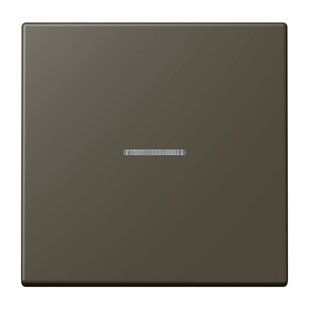 JUNG Kontrollwippe Schalter omb_bru_cla LC 101 KO5 241 f.Bussystem