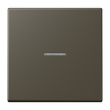 JUNG Kontrollwippe Schalter omb_bru_cla LC 101 KO5 241 f.Bussystem