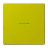 JUNG Kontrollwippe Schalter ver_oli_vif LC 101 KO5 249 f.Bussystem