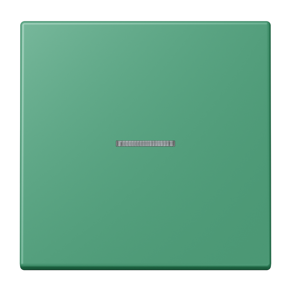 JUNG Kontrollwippe Schalter ver_59 LC 101 KO5 250 f.Bussystem