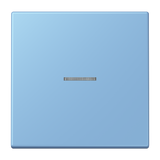 JUNG Kontrollwippe Schalter ble_cer_59 LC 101 KO5 256 f.Bussystem