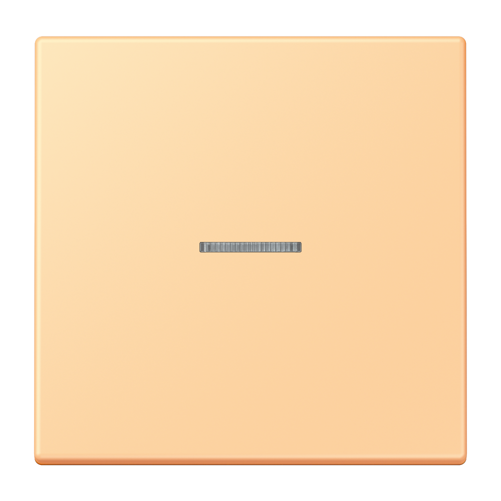 JUNG Kontrollwippe Schalter ter_sie_59 LC 101 KO5 258 f.Bussystem