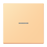 JUNG Kontrollwippe Schalter ter_sie_59 LC 101 KO5 258 f.Bussystem